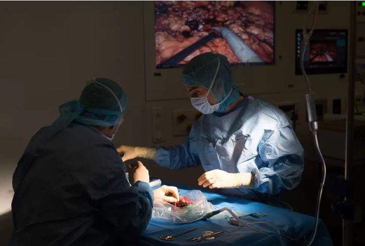 A kidney transplant surgery in NIce, France. BSIP/Universal Images Group via Getty Images